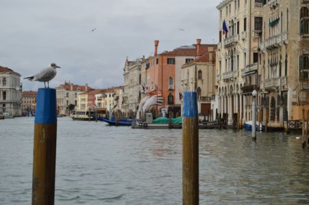 Venecia 2018 - Dia 02- 05